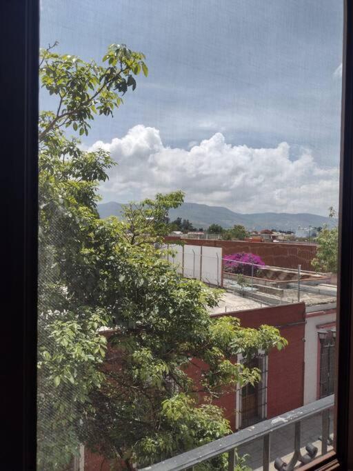 M1010 Agradable Departamento Centrico En Oaxaca Daire Dış mekan fotoğraf
